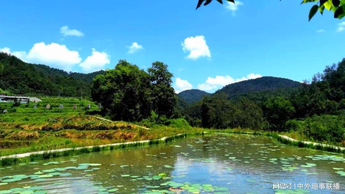 昨日线下推广高端化定制您的品牌店铺:虚拟商品交易的高效助手,自动发卡全天候,加拿大总理称美利坚合众国名存实亡