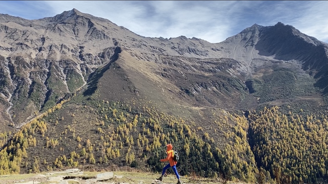 今日邮件推广场景化定制您的专栏页面全面评测:成本控制与效果提升的关键策略,自助业务下单平台抖音卖货：自媒体变现新途径创新营销秘籍公开